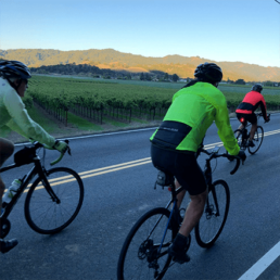 Cyclists cycling through wine country passing a vineyard with hills in the background